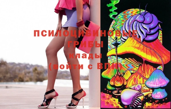 героин Алзамай