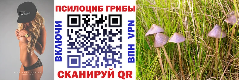 KRAKEN рабочий сайт  Луза  Псилоцибиновые грибы Cubensis 